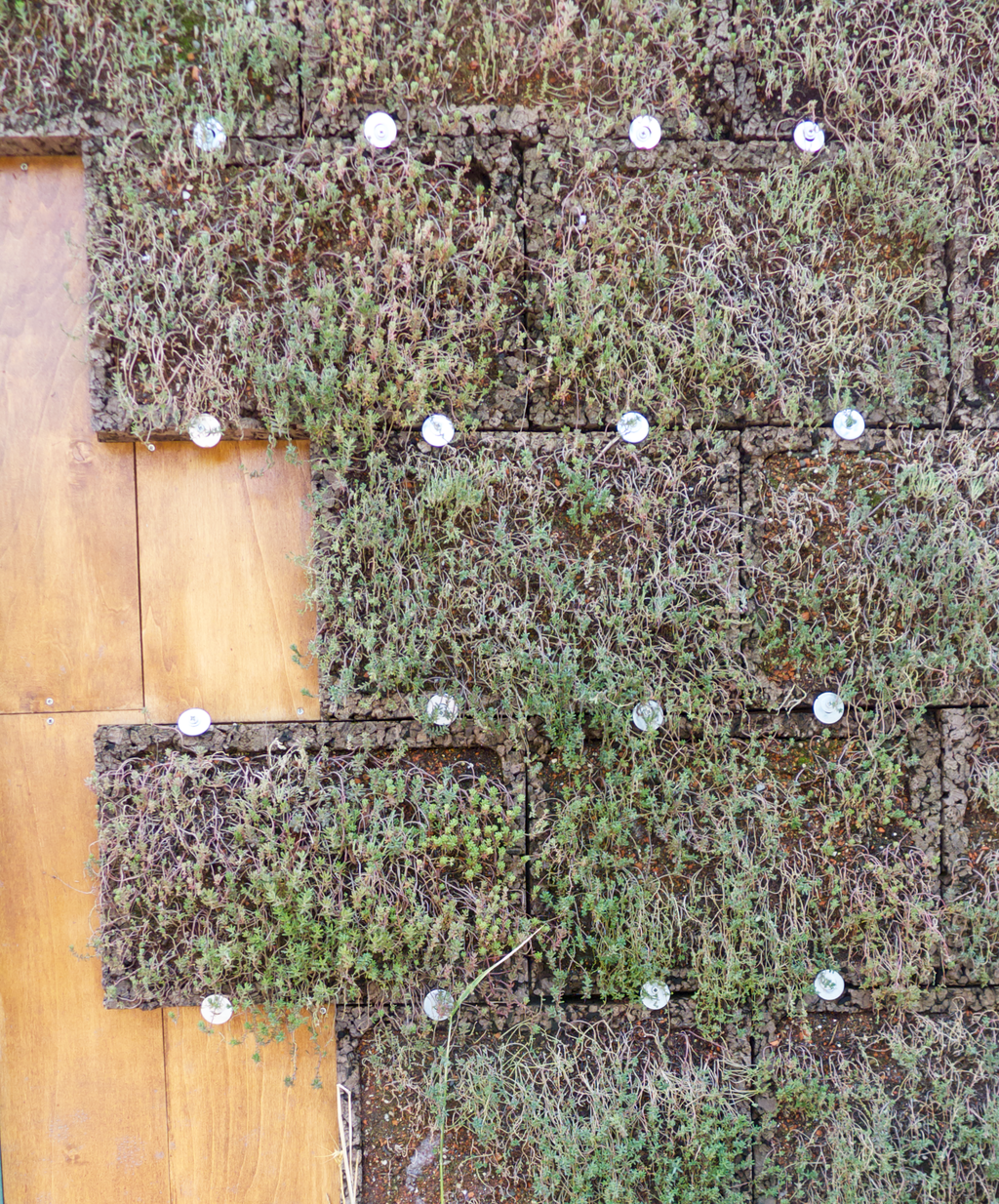 illustratie gevelbekleding met substraat