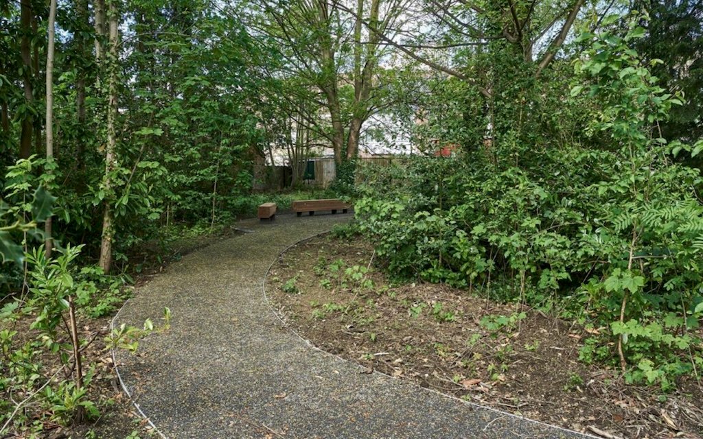 Meanderend bospad in het Reigerspark